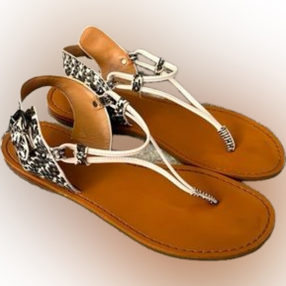 “NWT” Coach Clarkson Snakeskin Gladiator Sandal